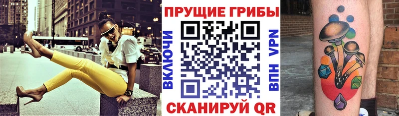 Псилоцибиновые грибы прущие грибы  Купить  Цоци-Юрт 